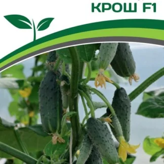 Огурец "Крош F1". Фасовка - 10 шт.