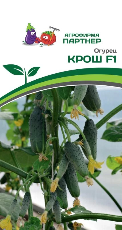 Огурец "Крош F1". Фасовка - 10 шт.