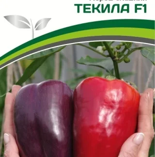 Перец "Текила F1". Фасовка - 5 шт.