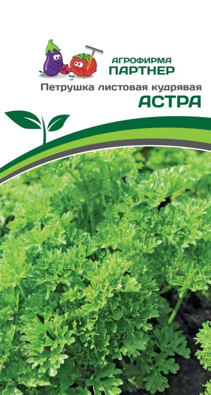 Петрушка листовая кудрявая "Астра". Фасовка - 3 гр.