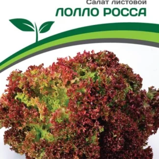 Салат листовой "Лолла Росса". Фасовка - 0,5 гр.