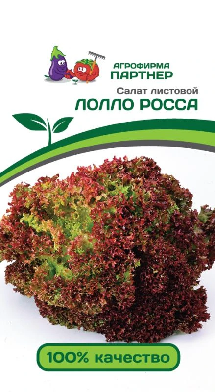 Салат листовой "Лолла Росса". Фасовка - 0,5 гр.
