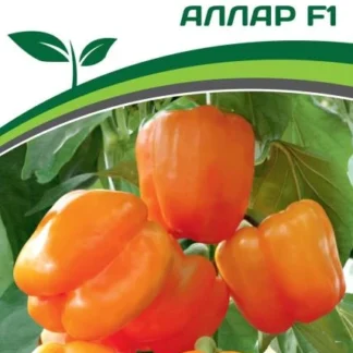 Перец "Аллар F1". Фасовка - 5 шт.