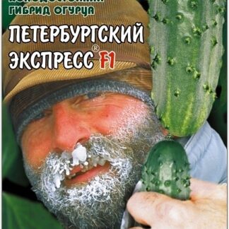 Огурец "Петербургский Экспресс F1". Фасовка - 8 шт.