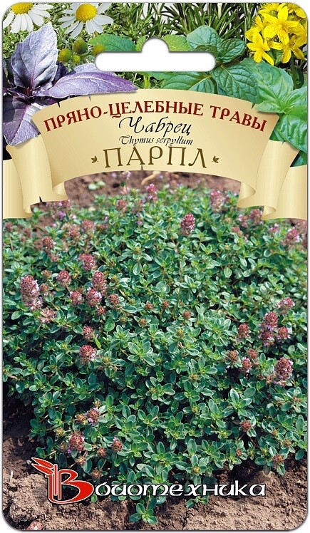 Чабрец Парпл. Фасовка - 0,05 гр.