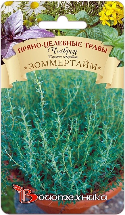 Чабрец "Зоммертайм". Фасовка - 0,05 гр.