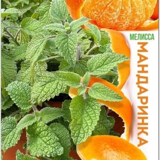 Мелисса Мандаринка. Фасовка - 10 шт.