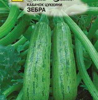Семена кабачка цукини "Зебра". В пакетике-10 шт.