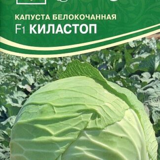 Семена белокочанной капусты "Киластоп F1". В пакетике-0,1 гр.