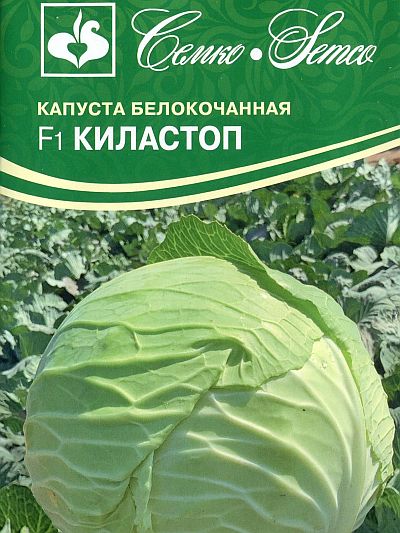 Семена белокочанной капусты "Киластоп F1". В пакетике-0,1 гр.