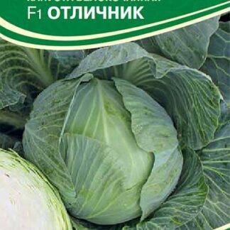 Семена белокочанной капусты "Отличник F1". В пакетике-0,1 гр.