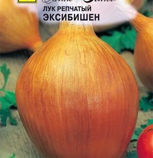 Семена лука "Эксибишен". В пакетике-0,5 гр.