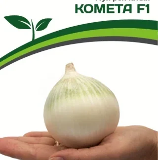 Лук репчатый "Комета F1". Фасовка - 0,5 гр.