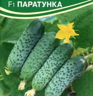 Семена огурца Паратунка F1. В пакетике - 5 шт.