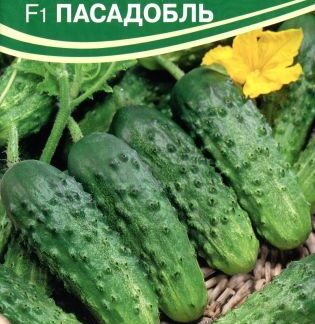 Семена огурца Пасадобль F1. В пакетике-10 шт.