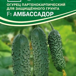 Семена огурца Амбассадор F1. В пакетике-5 шт.