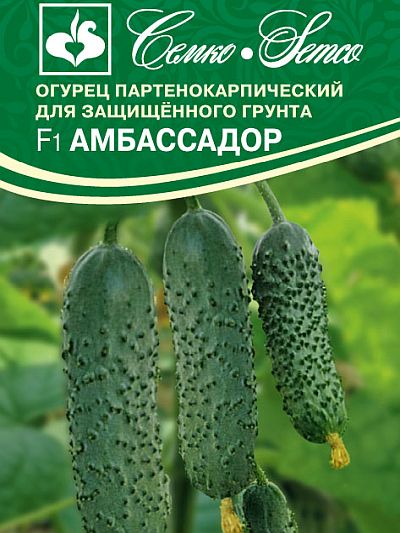 Семена огурца Амбассадор F1. В пакетике-5 шт.