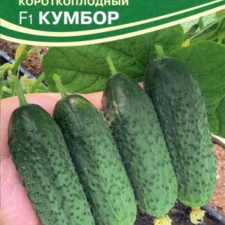 Семена огурца Кумбор F1. В пакетике-5 шт.
