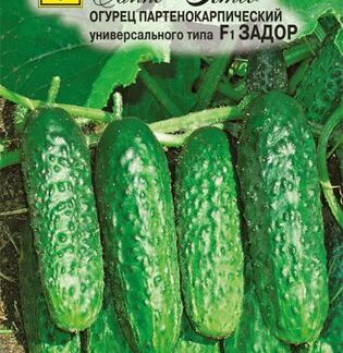 Семена огурца Задор F1. В пакетике-5 шт.