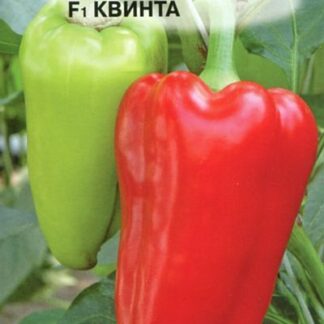 Семена перца сладкого "Квинта F1". В пакетике-10 шт.
