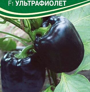 Семена перца сладкого "Ультрафиолет F1". В пакетике-5 шт.