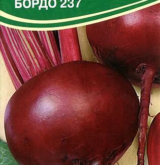 Семена свеклы "Бордо 237". В пакетике-2 гр.