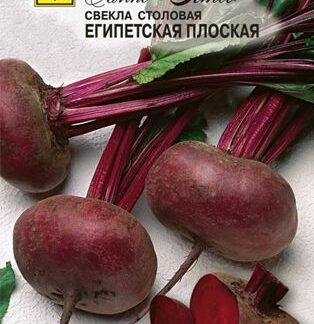Семена свеклы "Египетская плоская". В пакетике-2 гр.