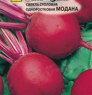 Семена свеклы "Модана". В пакетике-1,5 гр.