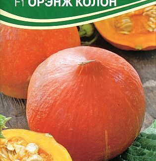 Семена тыквы "Орэнж Колон F1". В пакетике-5 шт.