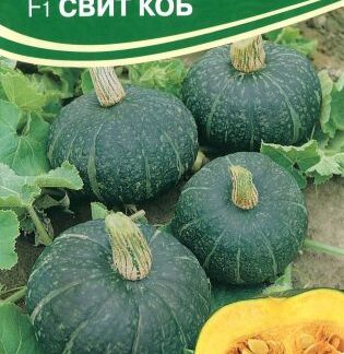 Семена тыквы "Свит Коб F1". В пакетике-5 шт.