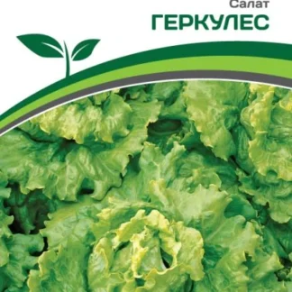 Салат листовой "Геркулес". Фасовка - 0,5 гр.