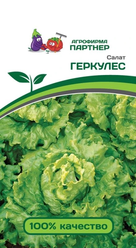 Салат листовой "Геркулес". Фасовка - 0,5 гр.