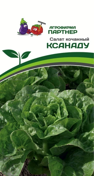 Салат кочанный "Касанаду". Фасовка - 15 шт.