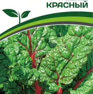 Мангольд красный. Фасовка - 1 гр.