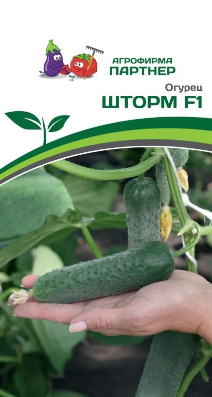Огурец "Шторм F1". Фасовка - 5 шт.