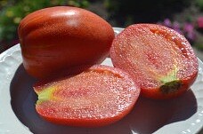 Семена томата "Лапоть минусинский". Фасовка - 5 шт.